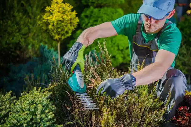 landscaping services Millerton